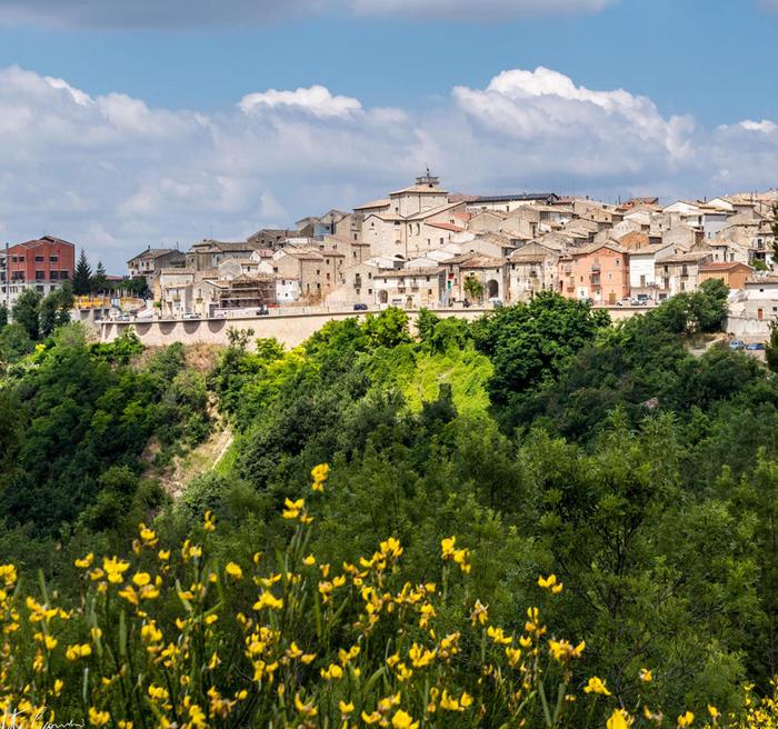 SEME DEL BUON ANTROPOCENE: Piccolo comune della Puglia punta al record ambientale